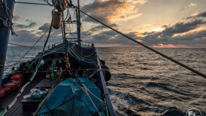 EJF’s ten principles for global transparency in the fishing industry launched