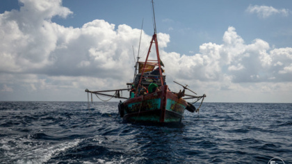 Out of the Shadows: Transparency is vital for legal, sustainable, ethical fisheries
