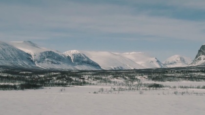 Protect polar bears and the arctic by taking action to stop global heating