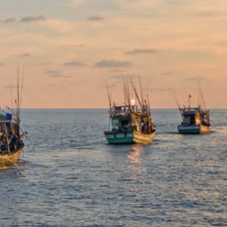 Illegale Fischerei, Missbrauch, Kinderarbeit: das wahre Gesicht von Vietnams Fischereiflotte