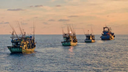 Illegale Fischerei, Missbrauch, Kinderarbeit: das wahre Gesicht von Vietnams Fischereiflotte