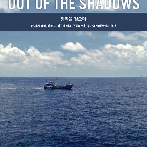 Out of the shadows: Korean Version