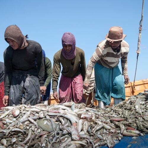 Thailand is first in Asia to ratify international standards for work in fishing industry