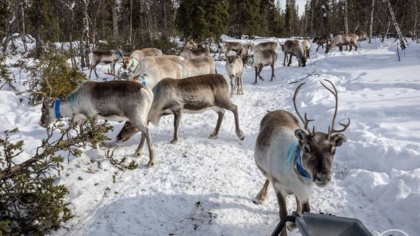 Climate change is closer than you think