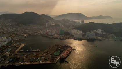 Korean government allows illegally caught fish onto global seafood market