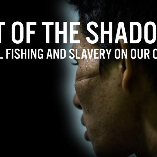 „Out Of The Shadows“: Transparenz im Kampf gegen illegale Fischerei