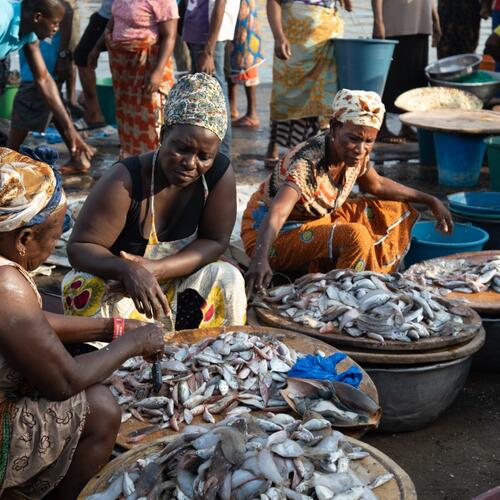 Women at the heart of sustainable fisheries