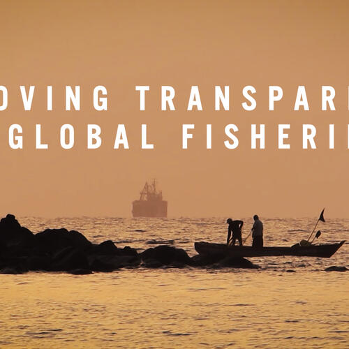 Improving Transparency in Fisheries