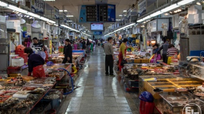 Seafood fraud common in Korea, DNA study reveals