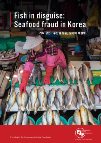 Fish in disguise: Seafood fraud in Korea (Korean version)