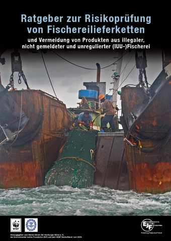 Ratgeber: Risikoprüfung von Fischereilieferketten