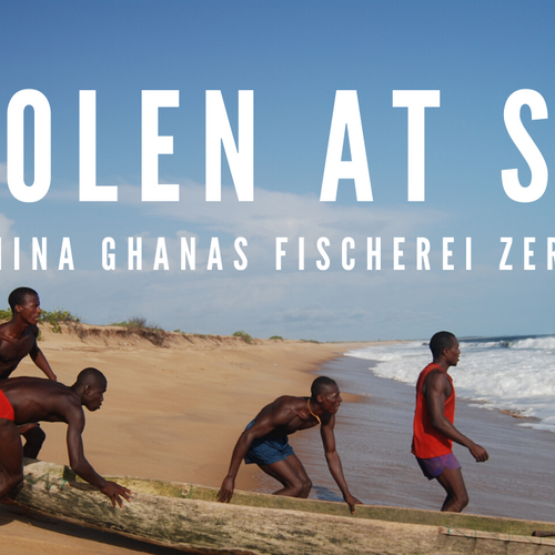„Stolen At Sea“: Wie China die Fischerei in Ghana zerstört
