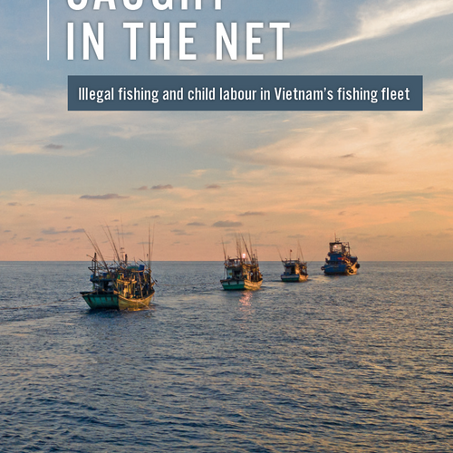 Caught in the net: Illegal fishing and child labour in Vietnam's fishing fleet