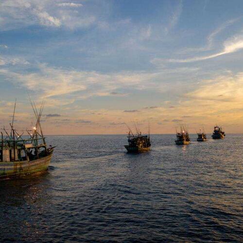 Rampant illegal fishing, child labour and grinding poverty: EJF report on Vietnamese fleet