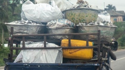 Ghana’s law is clear: Saiko fishing is illegal