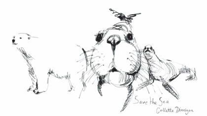 Collette Dinnigan: Don’t let the sun set on Arctic wildlife