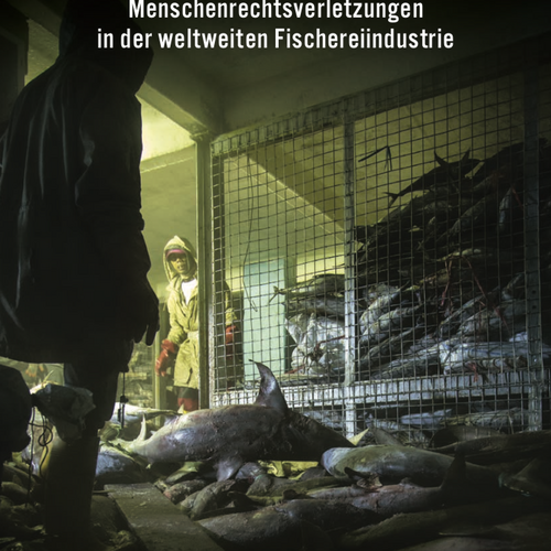 Blood And Water: Menschenrechtsverletzungen in der globalen Fischereiindustrie