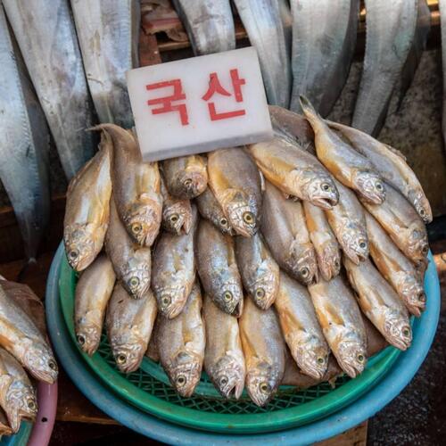 South Korea’s fisheries laws improve, but vigilance is needed