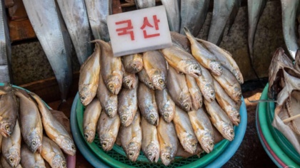 South Korea’s fisheries laws improve, but vigilance is needed