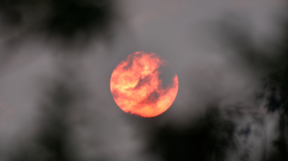 Buschbrände in Australien: Die richtige Antwort