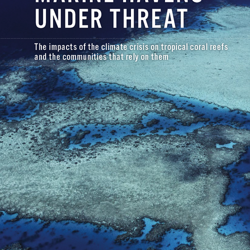 Marine Havens Under Threat: Auswirkungen der Klimakrise auf Korallenriffe und Folgen für Biodiversität und Küstengemeinden
