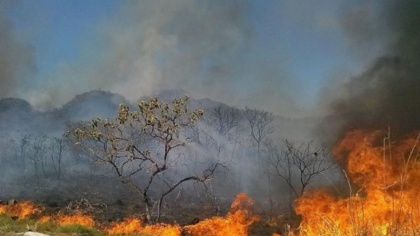 Blood and Fire: The burning Amazon is a call for us all to act