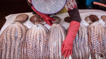 USA warns Korea on illegal fishing