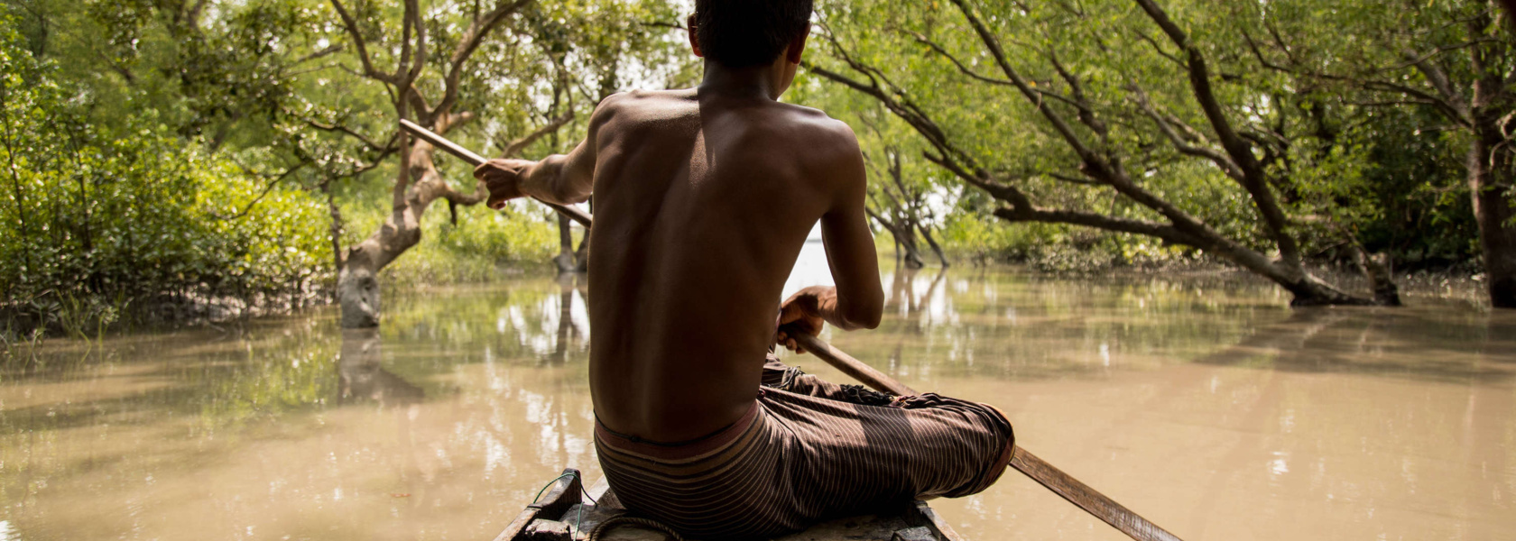 Defending the world’s life-giving mangroves