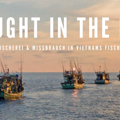 „Caught in the Net“: Illegale Fischerei und Missbrauch in Vietnams Fischereiflotte