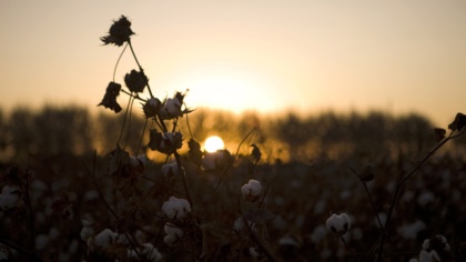 Retailers and governments must fight forced labour in Xinjiang