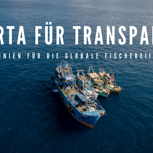 Transparenz in der globalen Fischereiindustrie: Zehn Leitlinien