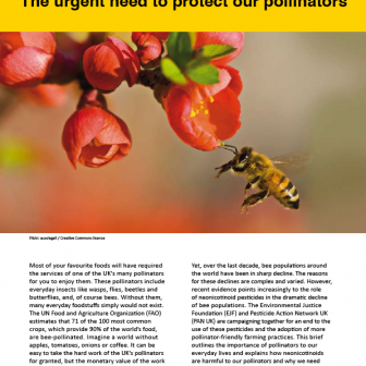 Poison Pesticides: The Urgent Need to Protect Our Pollinators