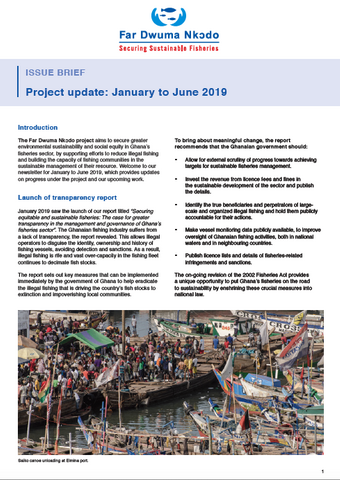 Far Dwuma Nkodo project update: January – June 2019