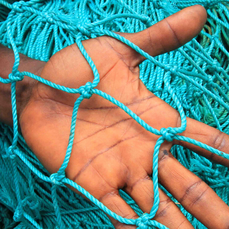 Kampf gegen illegale Fischerei & Sklaverei auf See: EJF startet Petition an deutsche Supermärkte
