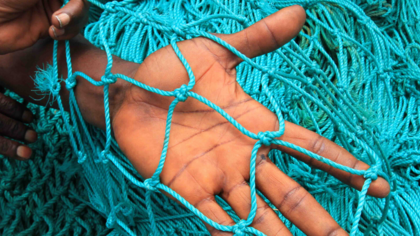 Kampf gegen illegale Fischerei & Sklaverei auf See: EJF startet Petition an deutsche Supermärkte