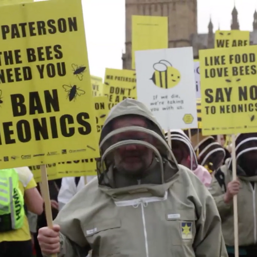 March of the Beekeepers