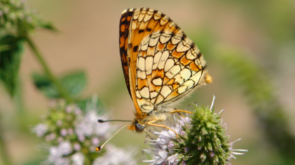 Ostern mal anders: Tipps für die Feiertage
