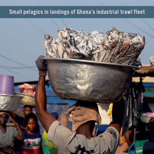 The “people’s” fishery on the brink of collapse: Small pelagics in landings of Ghana’s industrial trawl fleet