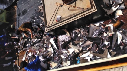 Four die on Chinese vessel allegedly fishing illegally