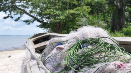 Net Free Seas: Projekt in Thailand räumt die Meere auf