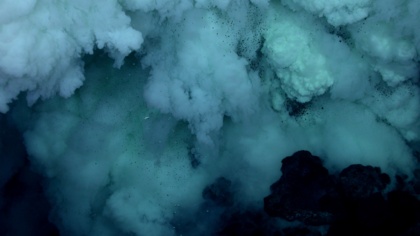 Deep sea mining must be stopped to prevent incalculable damage to humans and wildlife