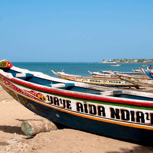 New project uses transparency and participation to fight illegal fishing in Senegal