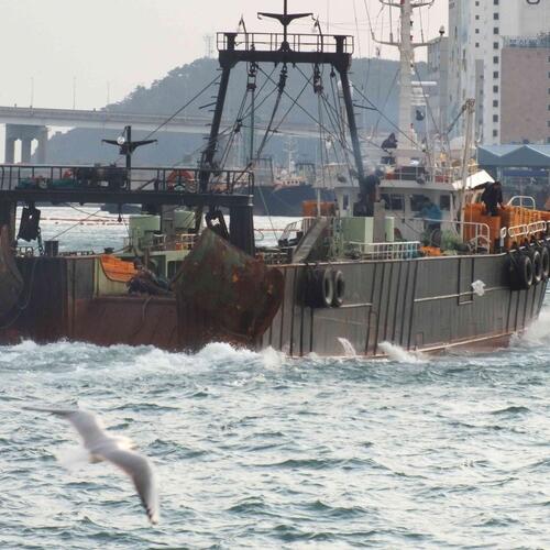 Abuse of migrant workers and illegal fishing on Korean vessels exporting to the EU