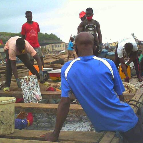 Illegal saiko fishing continues openly despite government assurances