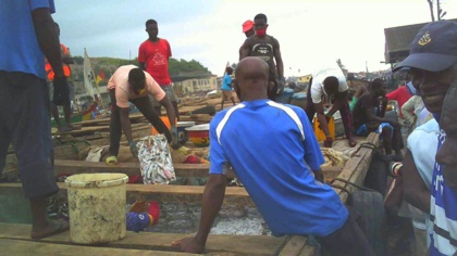 Illegal saiko fishing continues openly in Ghana despite government assurances