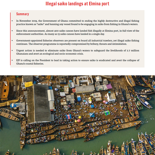 Illegal saiko landings at Elmina port