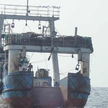Illegale Fischereiprodukte aus Westafrika bahnen sich Weg in die EU