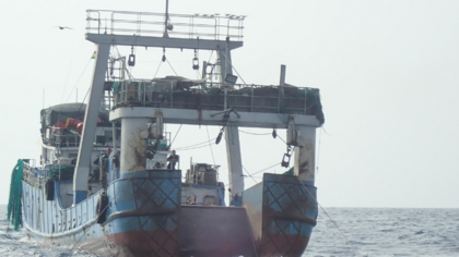Illegale Fischereiprodukte aus Westafrika bahnen sich Weg in die EU
