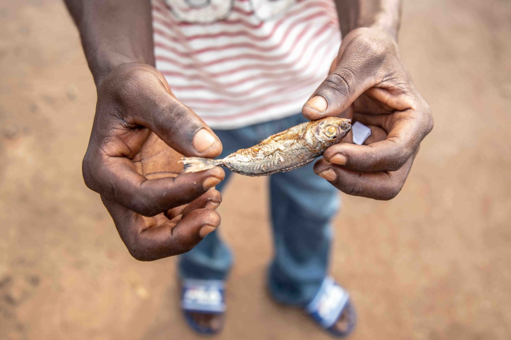 Ghana small fish