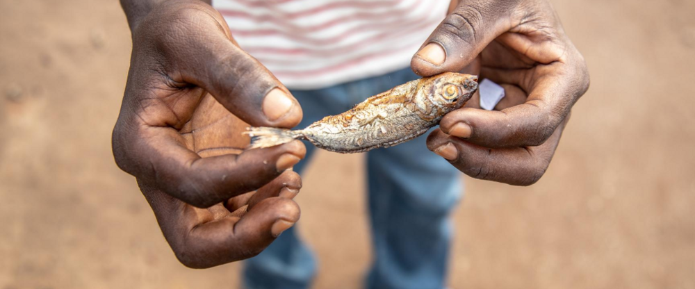 Ghana Saiko small fish in hands